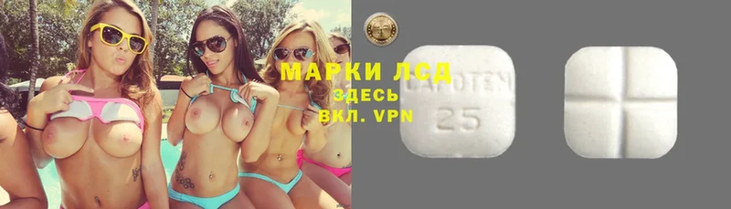 наркота  Гвардейск  Лсд 25 экстази ecstasy 